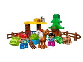 10582 - Forest: Animals