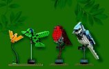 Bauanleitungen LEGO - Ideas - 21301 - Birds: Page 76