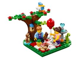 40236 - Romantic Valentine Picnic